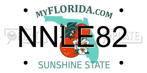 NNLE82 Florida License Plate