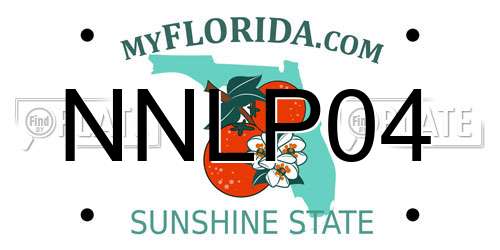 NNLP04 Florida License Plate