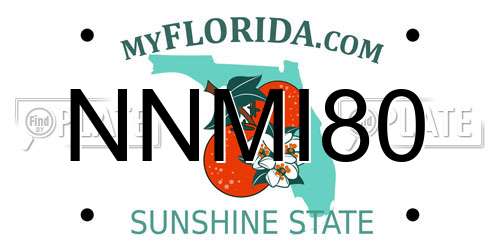 NNMI80 Florida License Plate