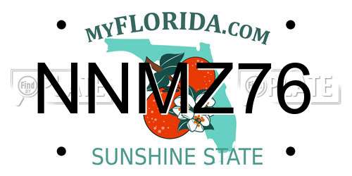 NNMZ76 Florida License Plate