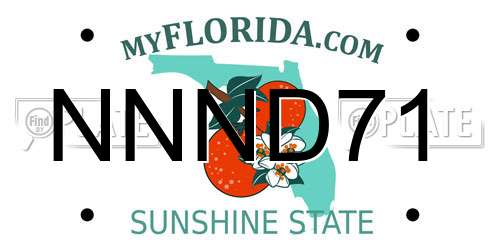 NNND71 Florida License Plate
