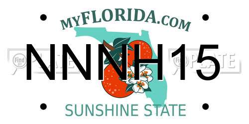 NNNH15 Florida License Plate