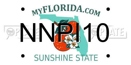 NNPI10 Florida License Plate