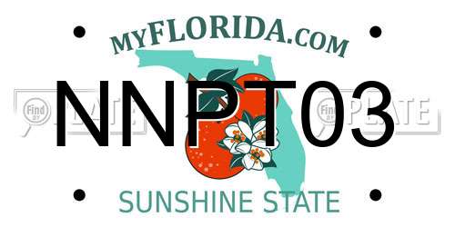 NNPT03 Florida License Plate