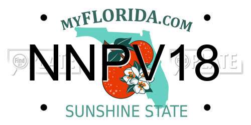 NNPV18 Florida License Plate