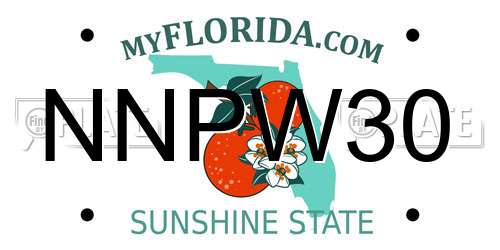 NNPW30 Florida License Plate