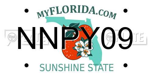 NNPY09 Florida License Plate