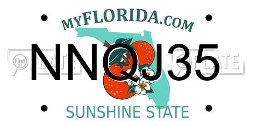 NNQJ35 Florida License Plate