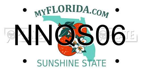 NNQS06 Florida License Plate