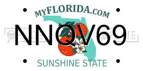 NNQV69 Florida License Plate