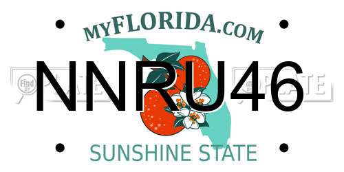NNRU46 Florida License Plate