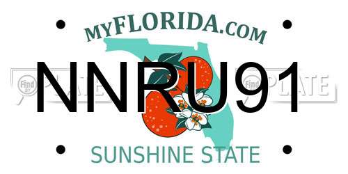 NNRU91 Florida License Plate