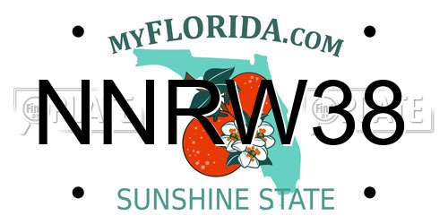 NNRW38 Florida License Plate