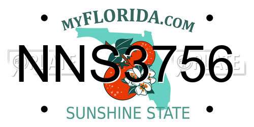 NNS3756 Florida License Plate