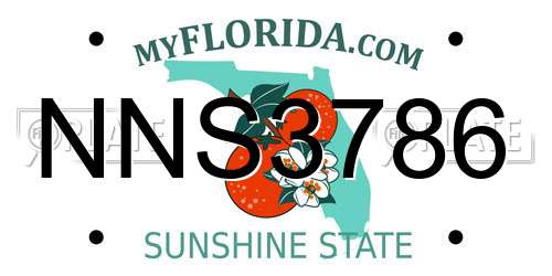 NNS3786 Florida License Plate