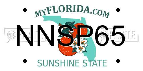 NNSP65 Florida License Plate