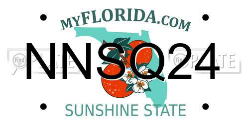 NNSQ24 Florida License Plate