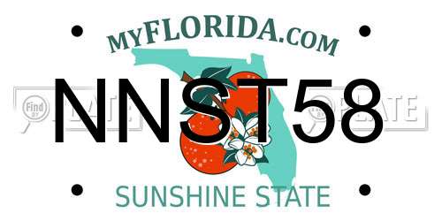 NNST58 Florida License Plate