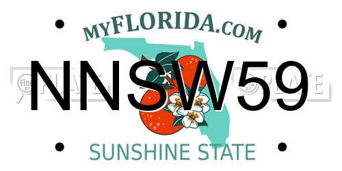 NNSW59 Florida License Plate