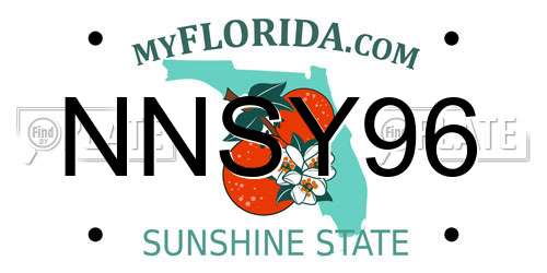 NNSY96 Florida License Plate