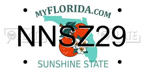 NNSZ29 Florida License Plate