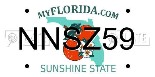 NNSZ59 Florida License Plate