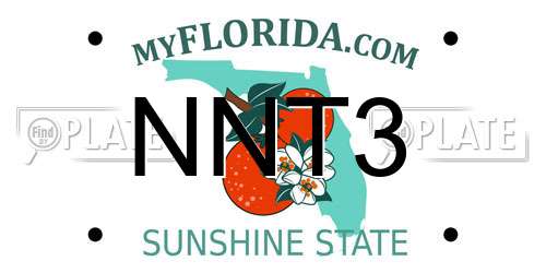 NNT3 Florida License Plate