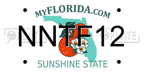 NNTF12 Florida License Plate