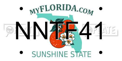 NNTF41 Florida License Plate