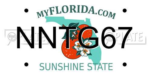 NNTG67 Florida License Plate