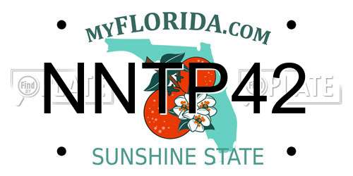 NNTP42 Florida License Plate