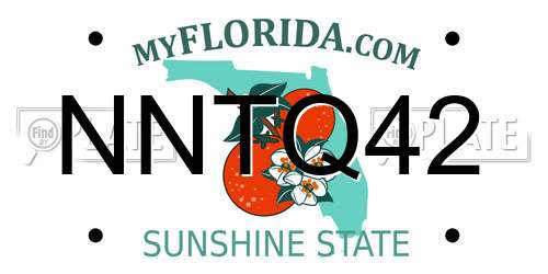 NNTQ42 Florida License Plate