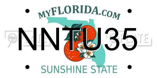NNTU35 Florida License Plate