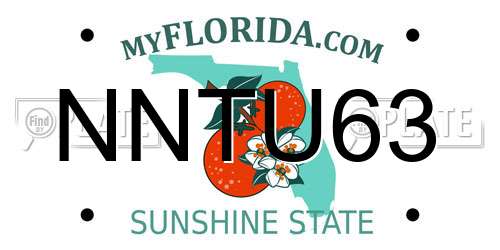 NNTU63 Florida License Plate