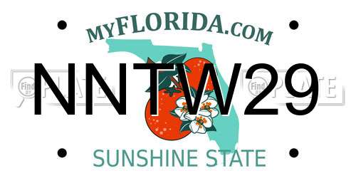 NNTW29 Florida License Plate
