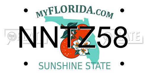 NNTZ58 Florida License Plate