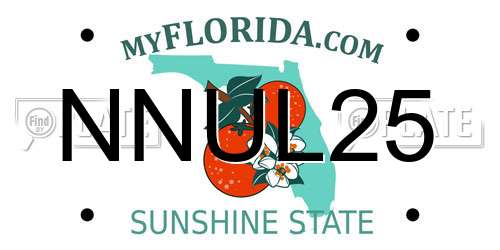 NNUL25 Florida License Plate