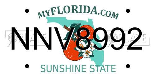 NNV8992 Florida License Plate