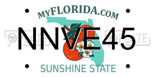 NNVE45 Florida License Plate