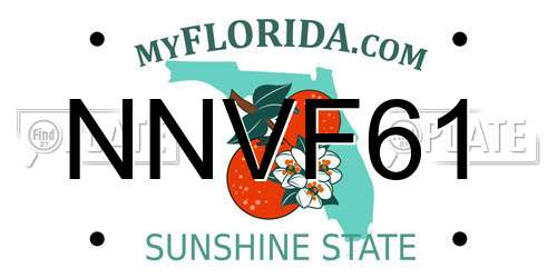 NNVF61 Florida License Plate