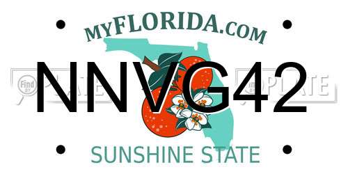 NNVG42 Florida License Plate