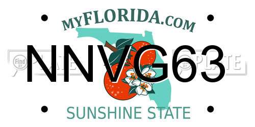 NNVG63 Florida License Plate