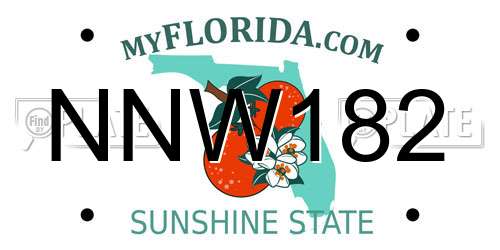 NNW182 Florida License Plate
