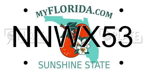 NNWX53 Florida License Plate