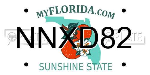 NNXD82 Florida License Plate