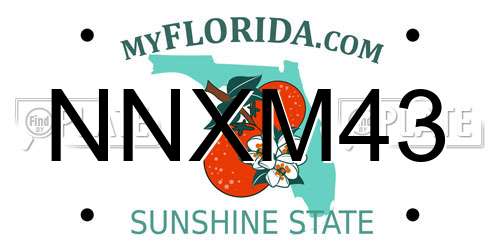 NNXM43 Florida License Plate