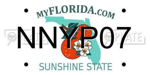 NNYP07 Florida License Plate