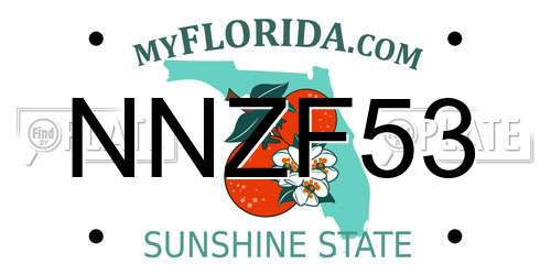 NNZF53 Florida License Plate