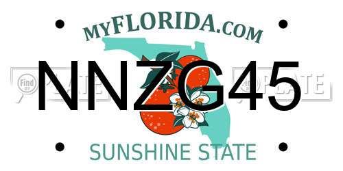 NNZG45 Florida License Plate