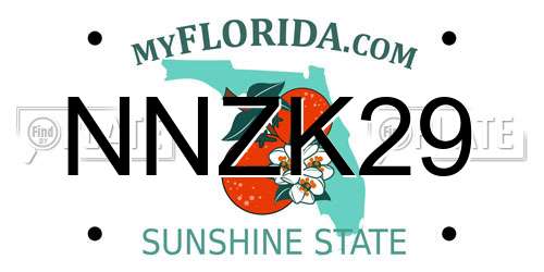 NNZK29 Florida License Plate